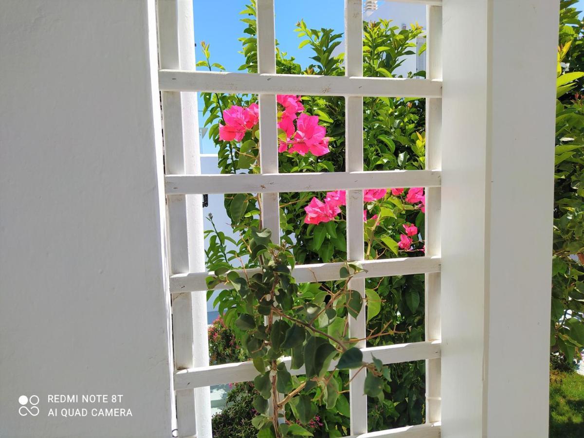 Geoni'S Villa & Garden Spa Apollonía Esterno foto